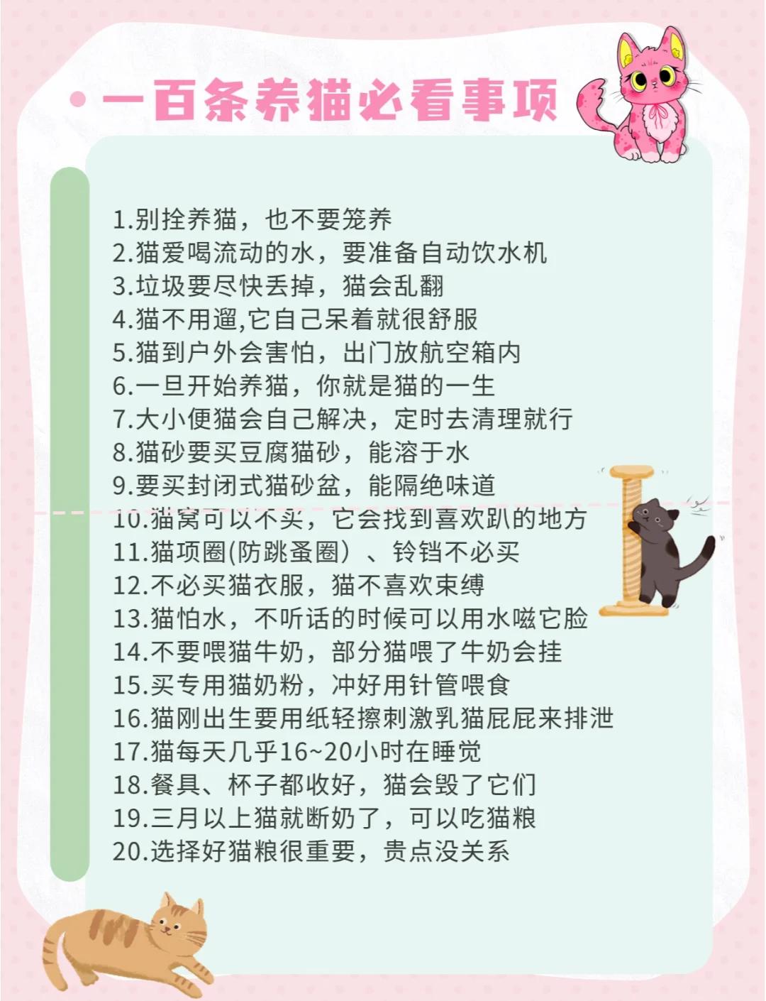 魔力百科宠物养成注意事项