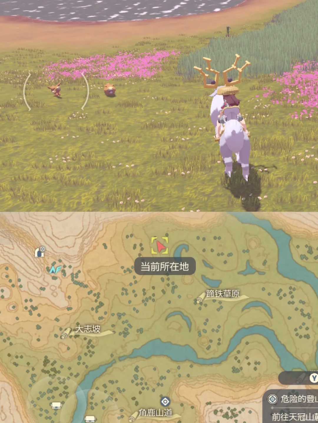 魔力宝贝私服宠物捕捉地点推荐稀有伙伴不再难