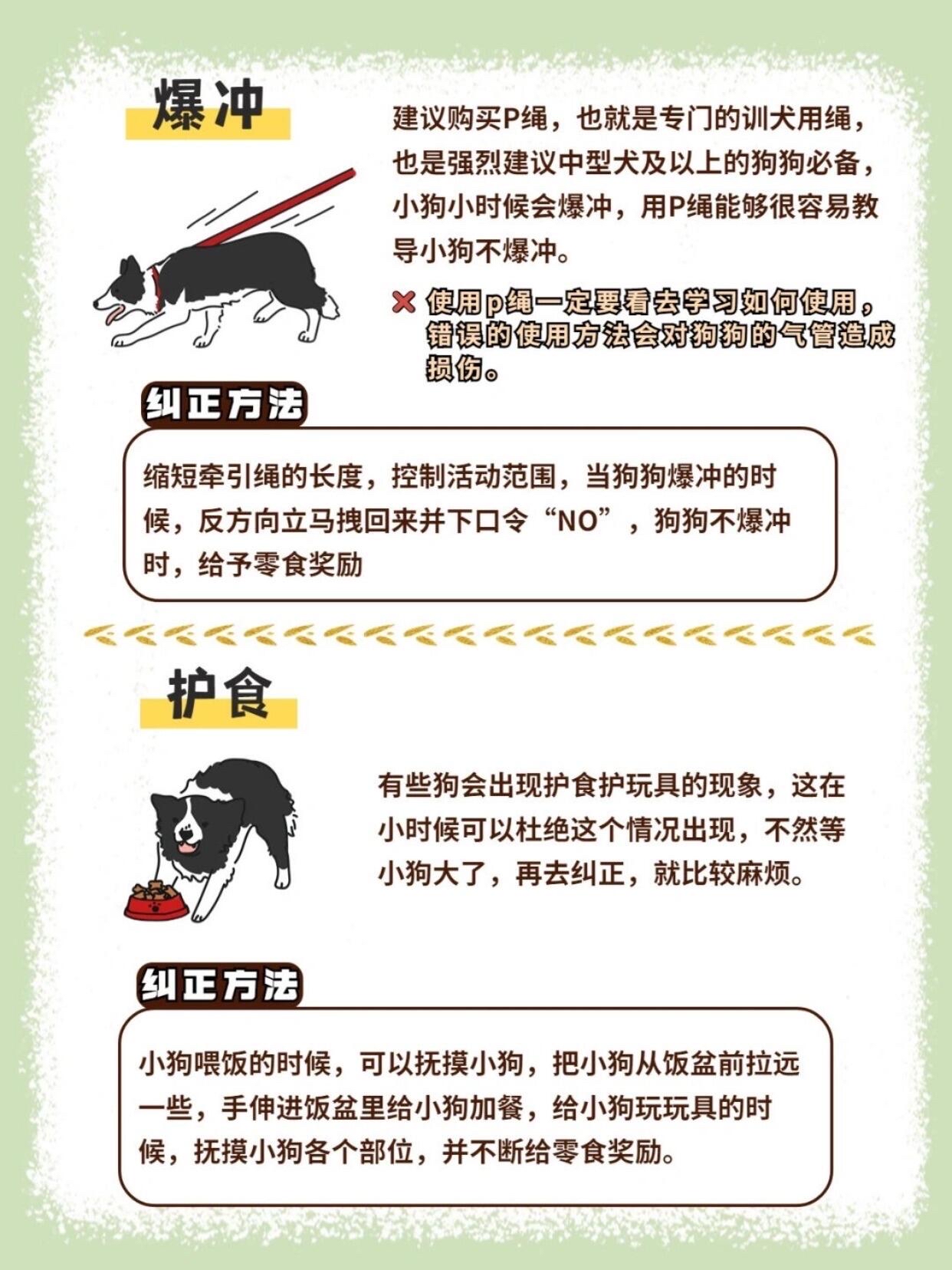 宠物忠诚度培养秘籍，让你的萌宠不离不弃​