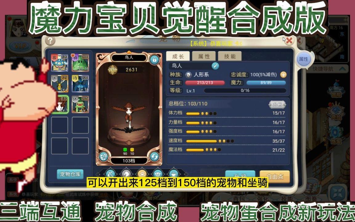 魔力宝贝私服宠物合成技巧最强伙伴养成秘诀