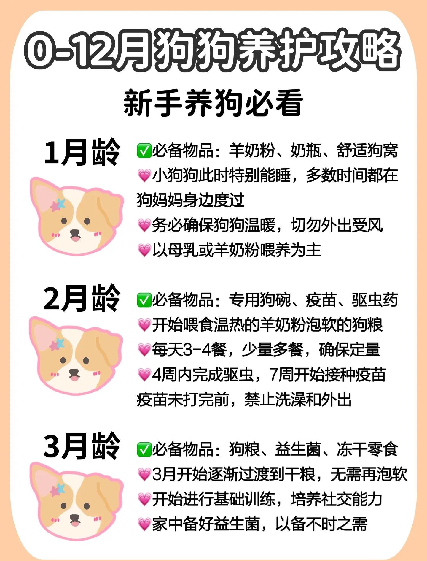 魔力百科宠物养成秘籍，如何培养最强伴侣