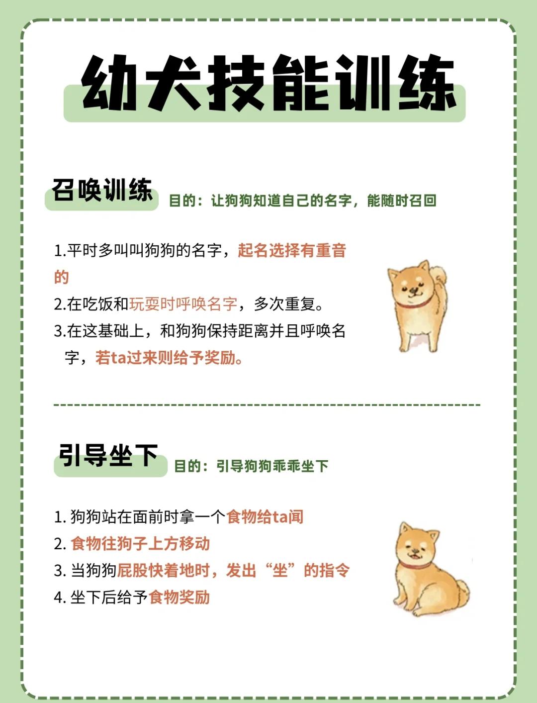 魔力百科宠物养成秘籍，如何培养最强伴侣