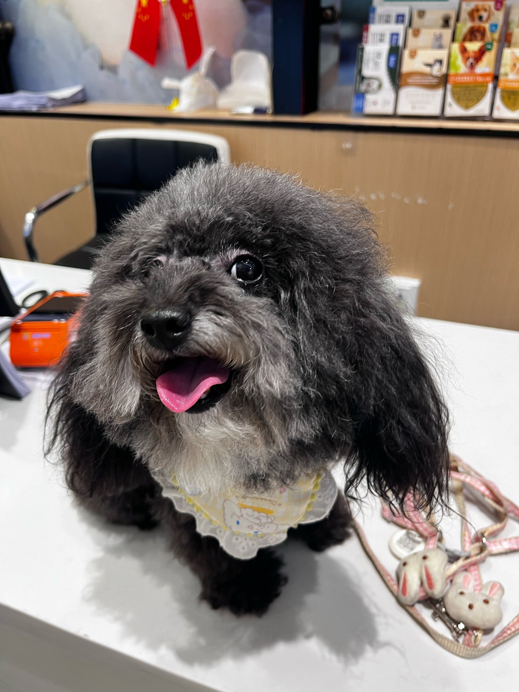 宠物成长值提升，打造顶级宠物