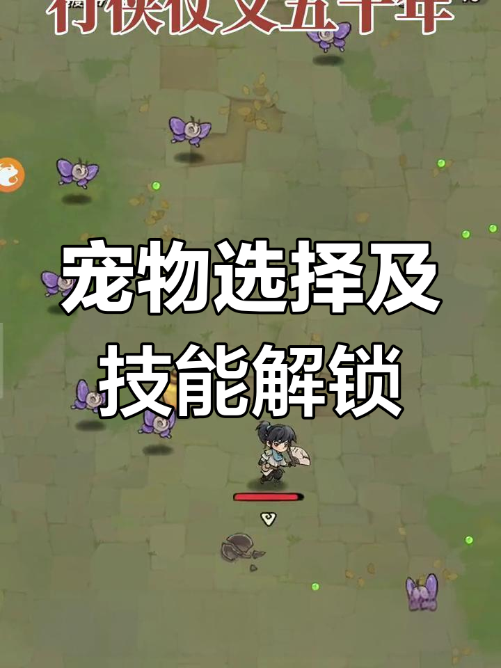 宠物技能升级攻略，提升宠物技能效果