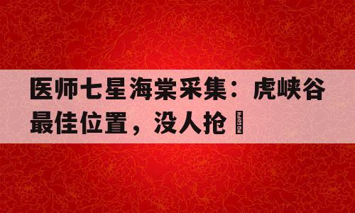 医师七星海棠采集：虎峡谷最佳位置，没人抢​