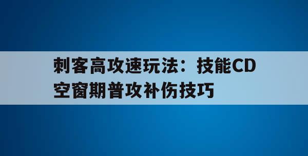刺客高攻速玩法：技能CD空窗期普攻补伤技巧